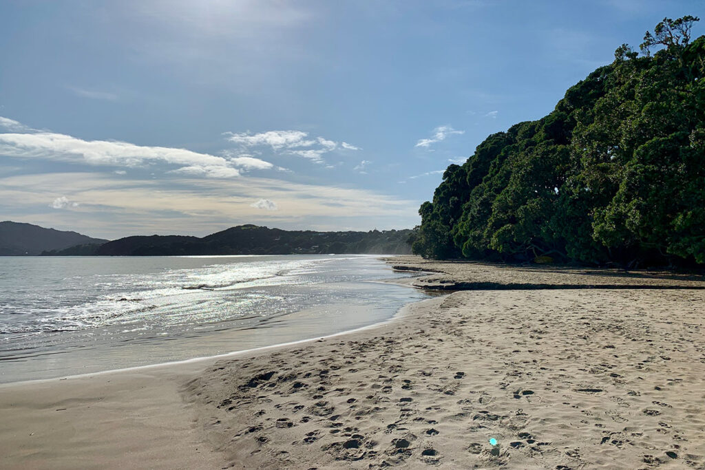 Coopers Beach Rush Hour
