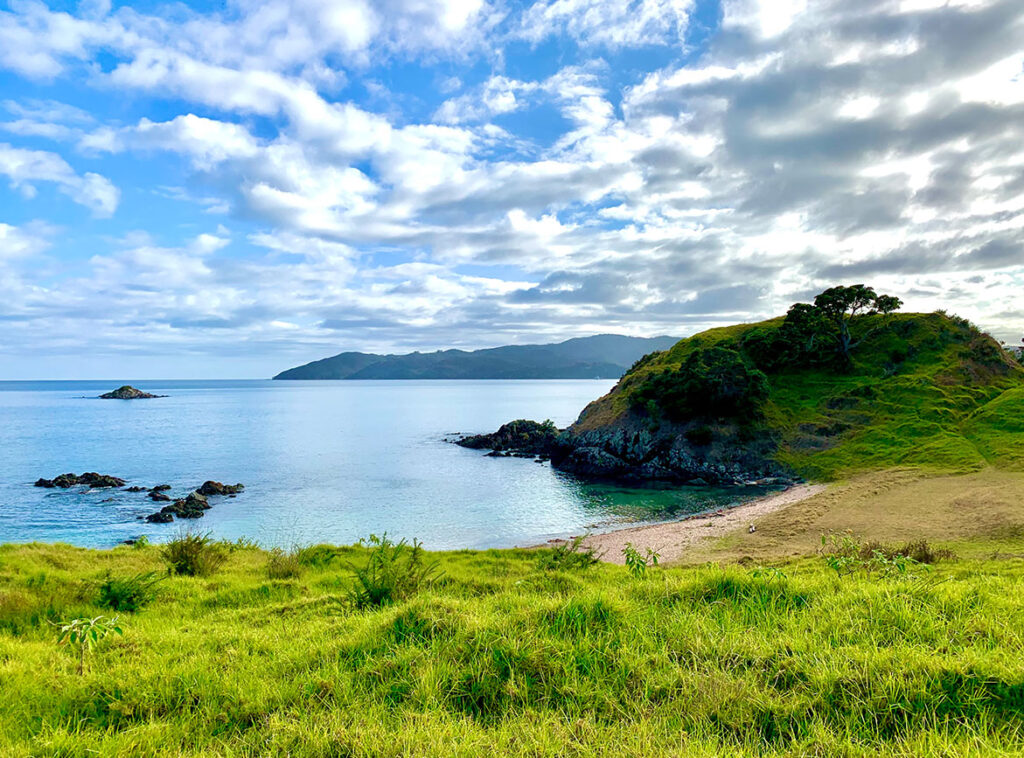 Taumarumaru Scenic Reserve Walk